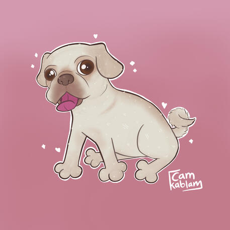 Daisy | Pet Portrait | Procreate